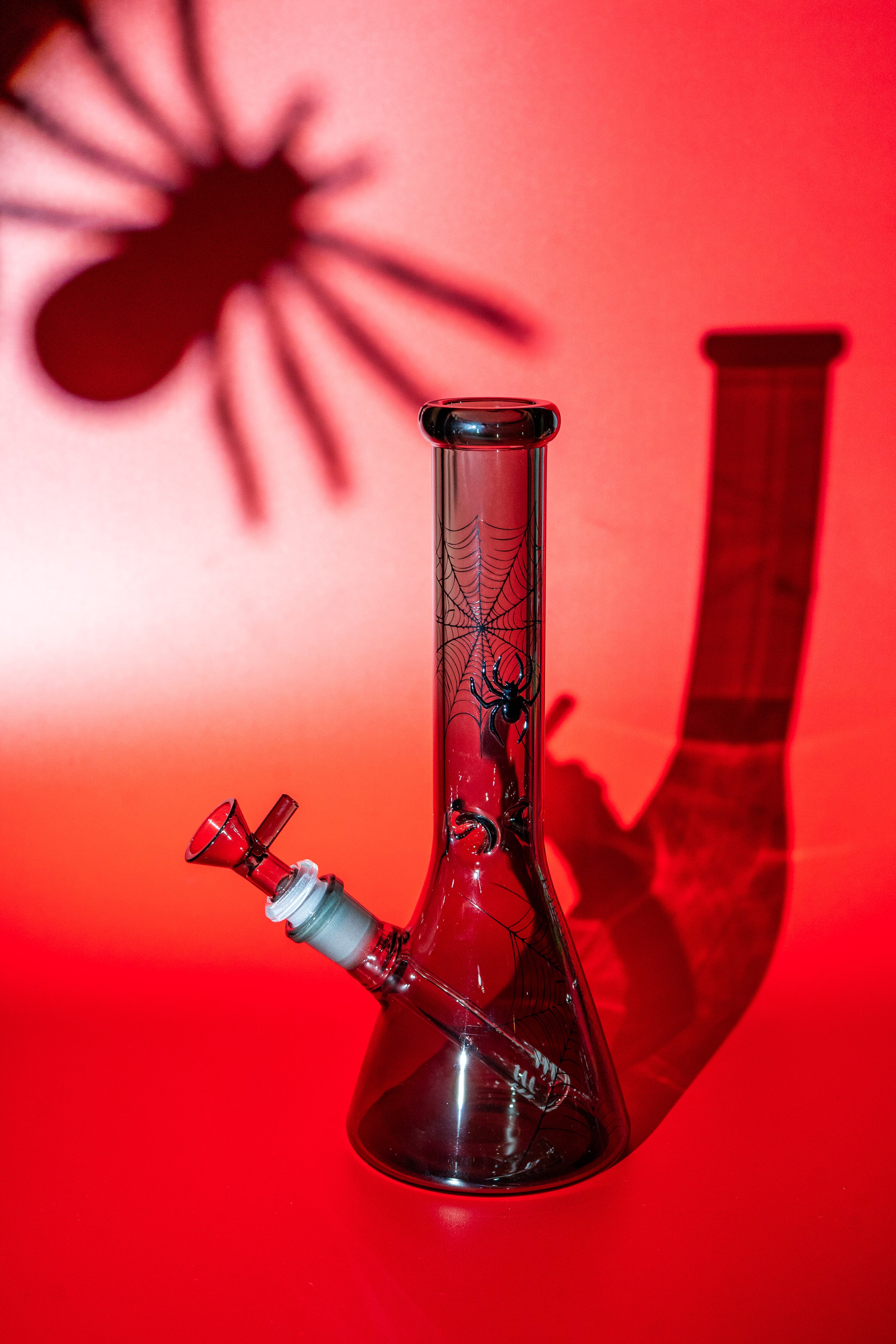 Spider Web Bong