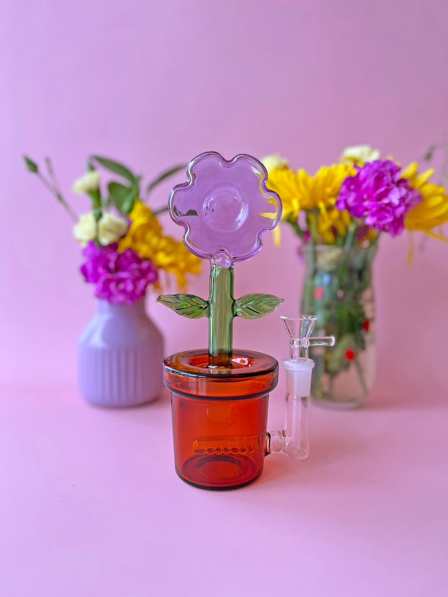 House Plant Bong- Lavender