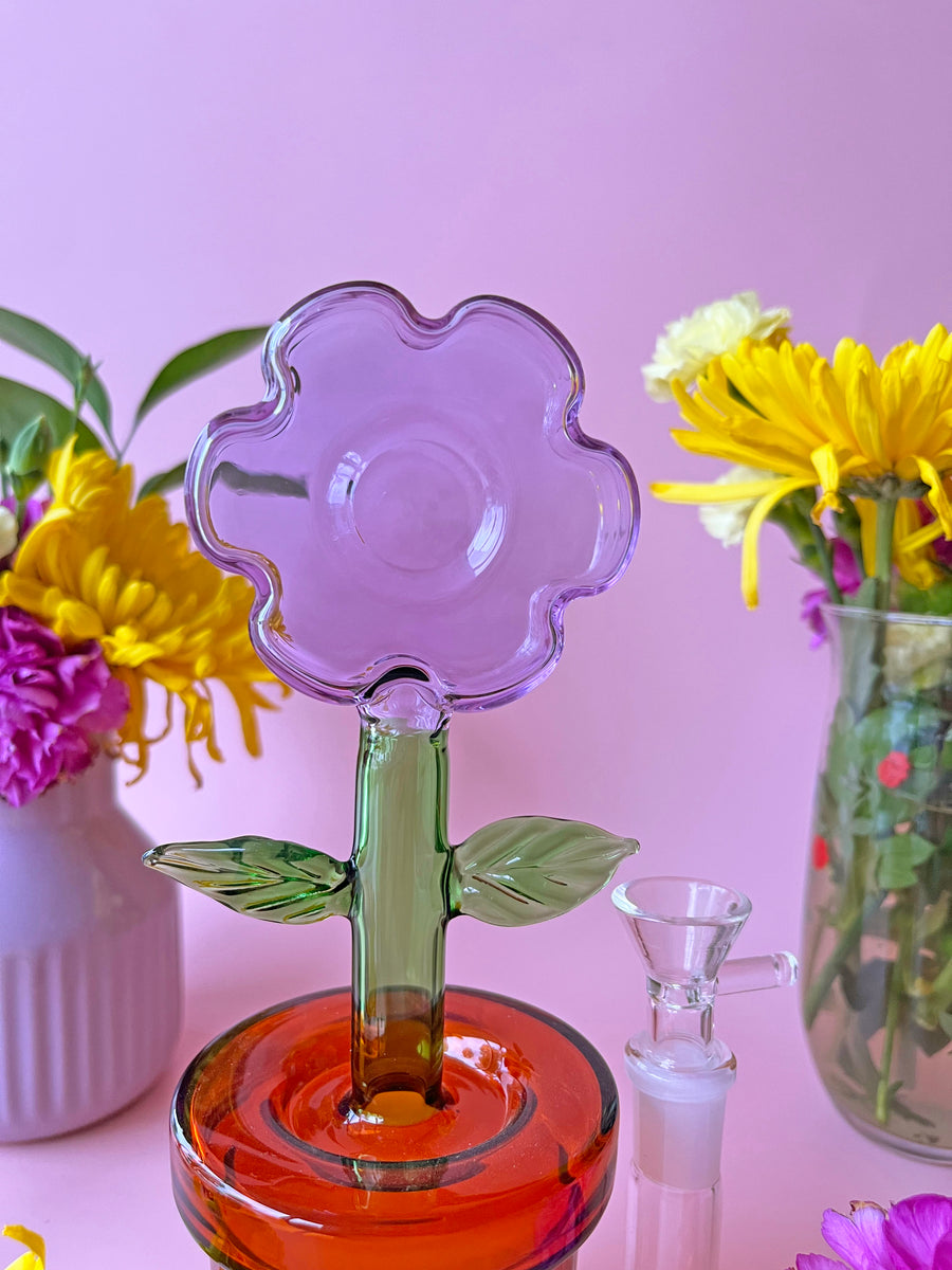 House Plant Bong- Lavender