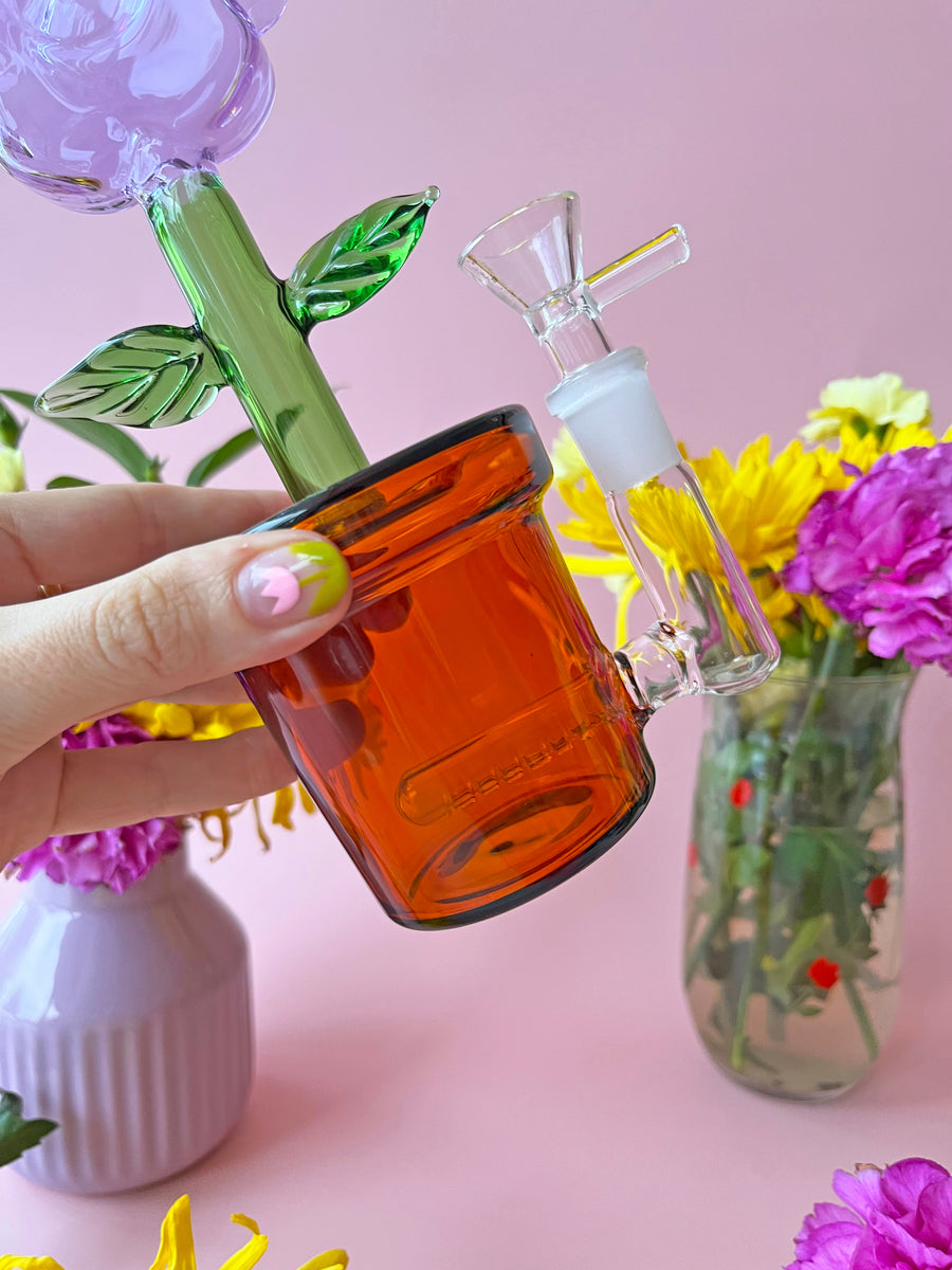 House Plant Bong- Lavender