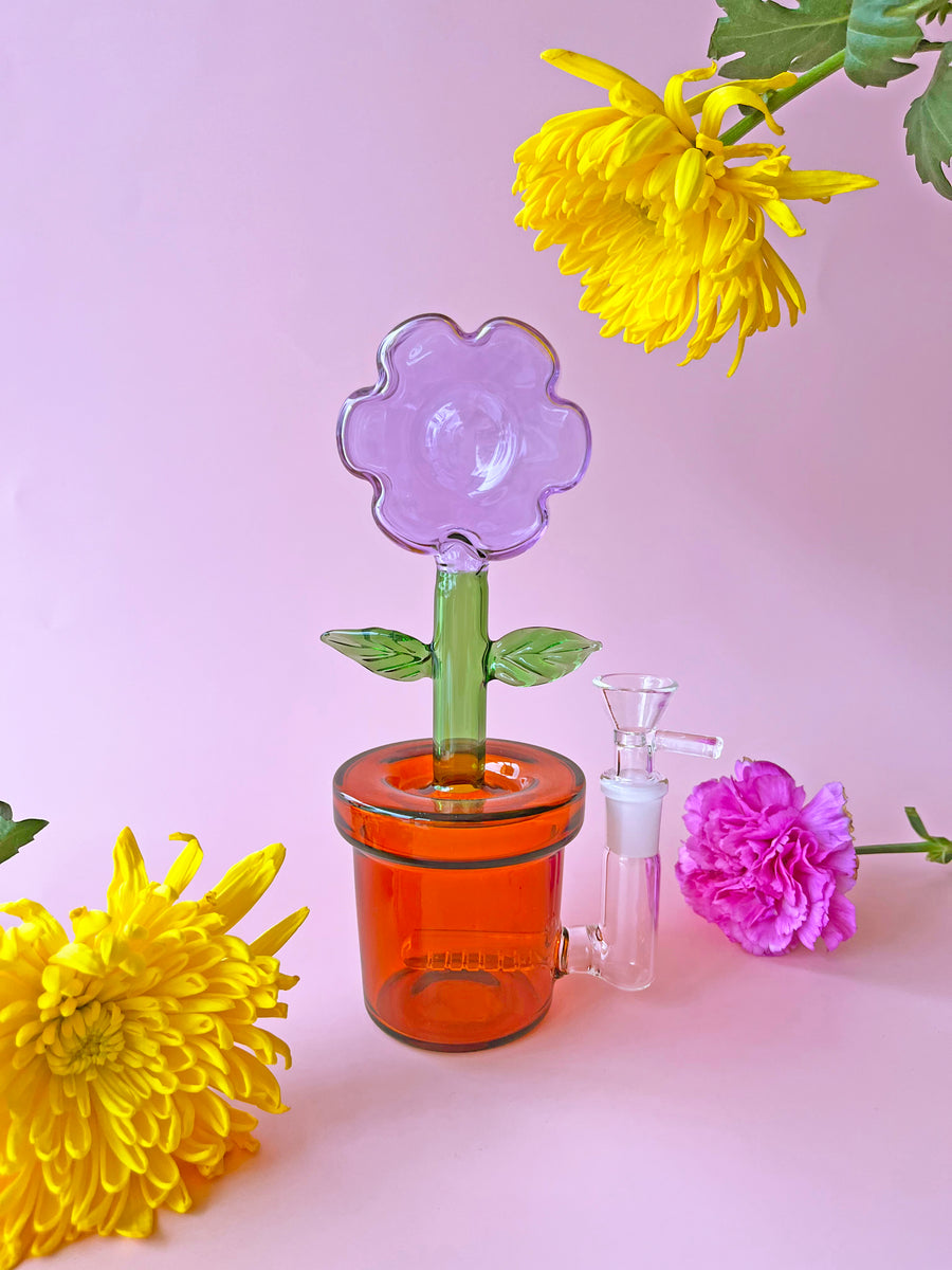 House Plant Bong- Lavender