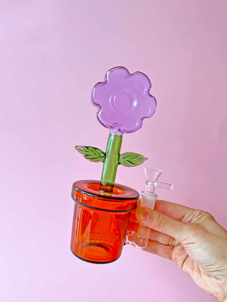 House Plant Bong- Lavender