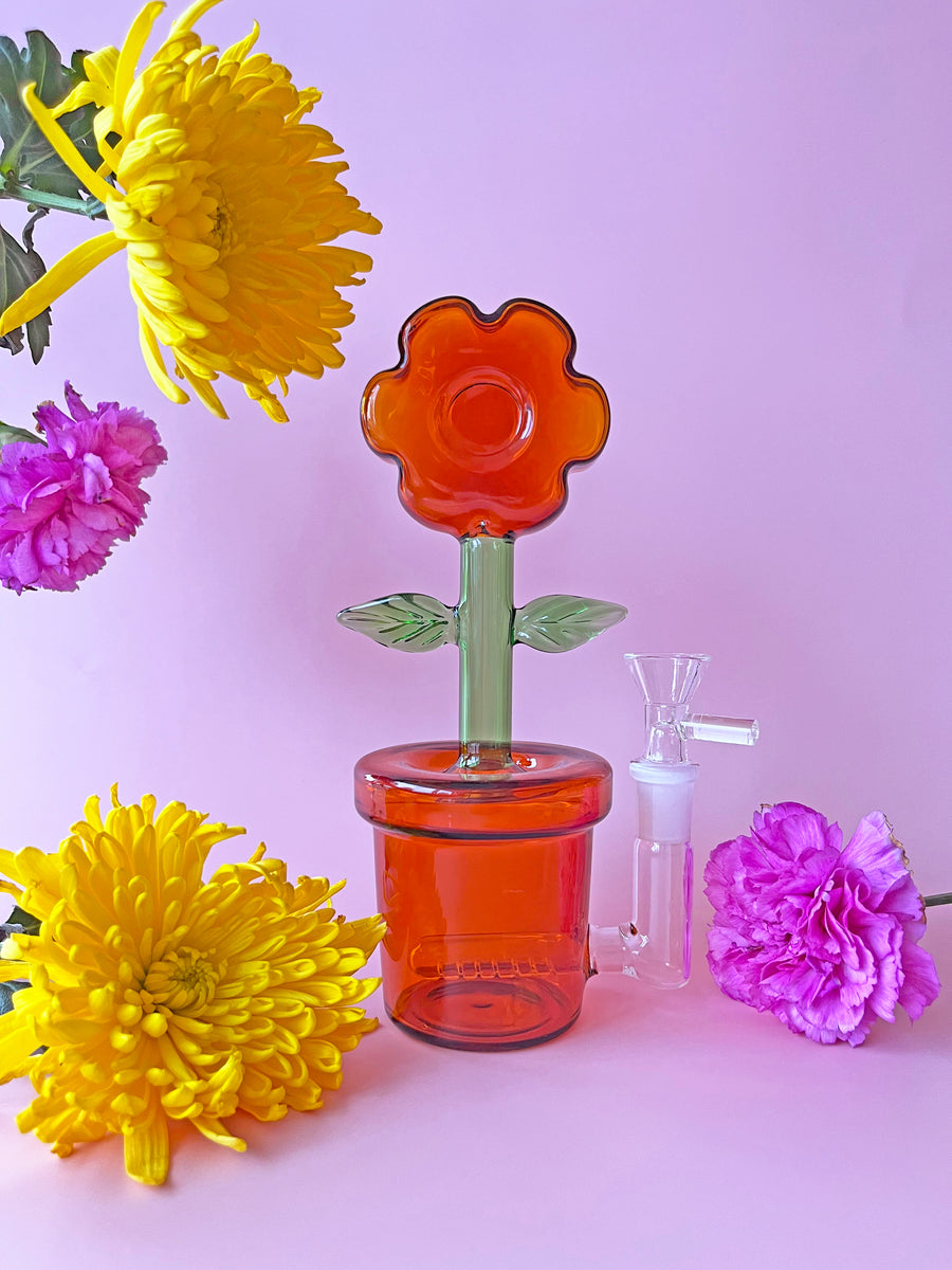 House Plant Bong- Amber