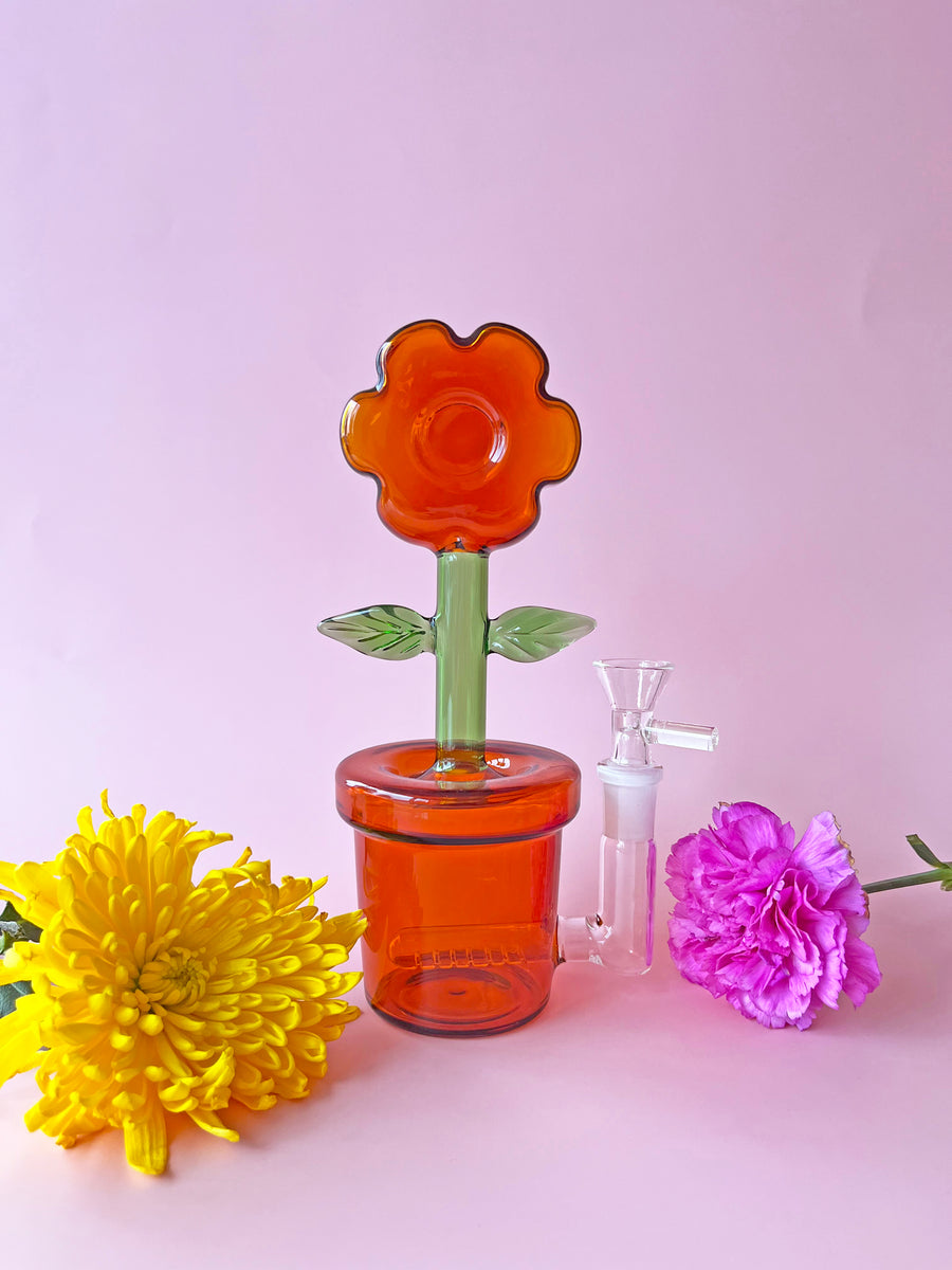 House Plant Bong- Amber