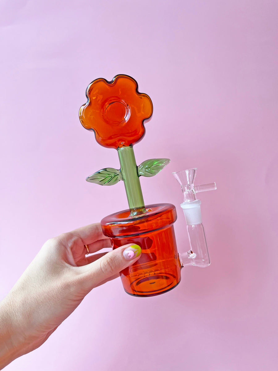 House Plant Bong- Amber