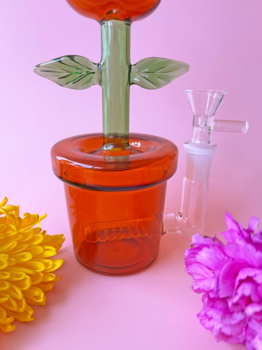 House Plant Bong- Amber