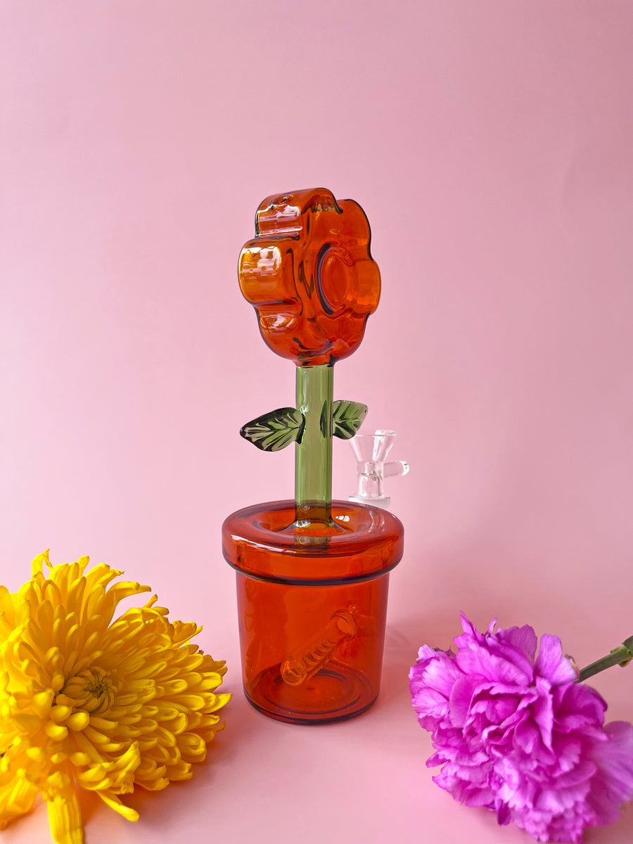House Plant Bong- Amber