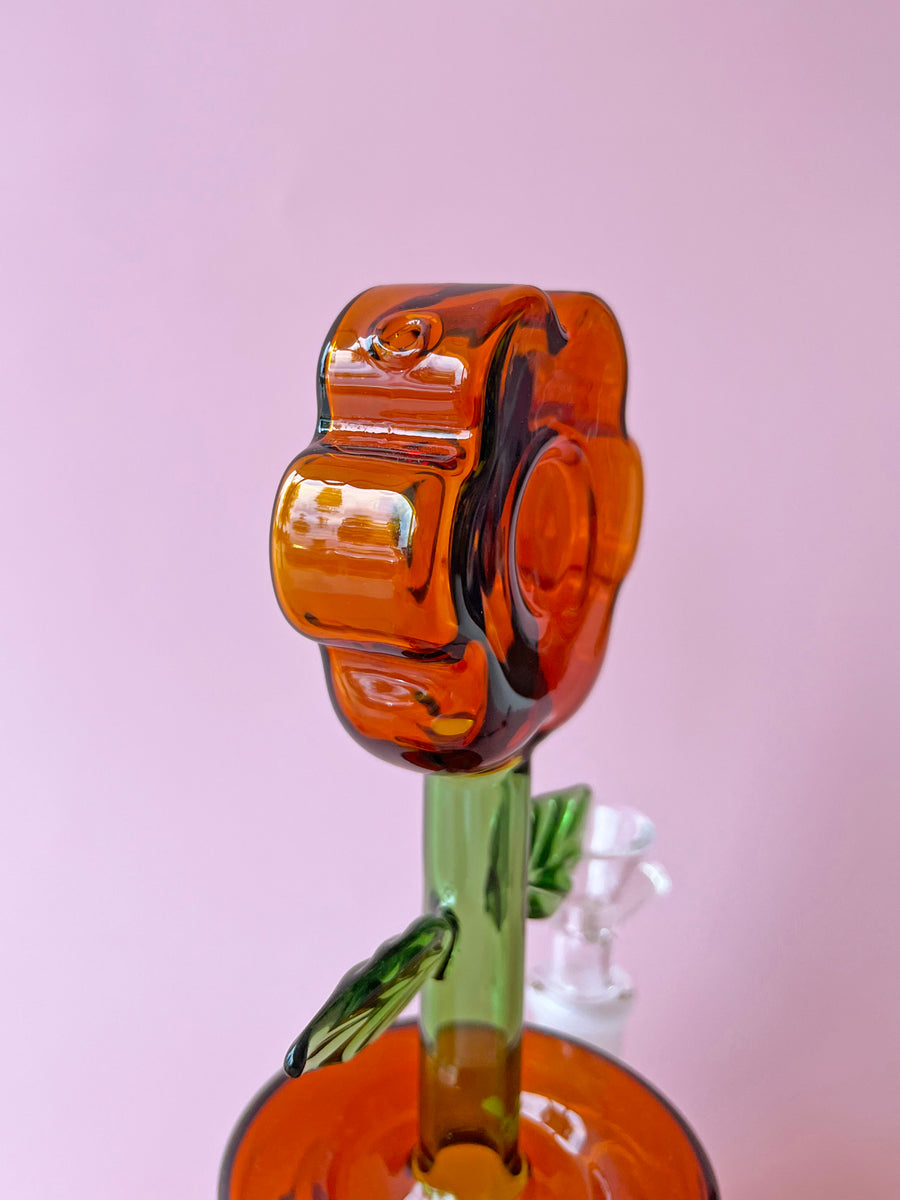 House Plant Bong- Amber