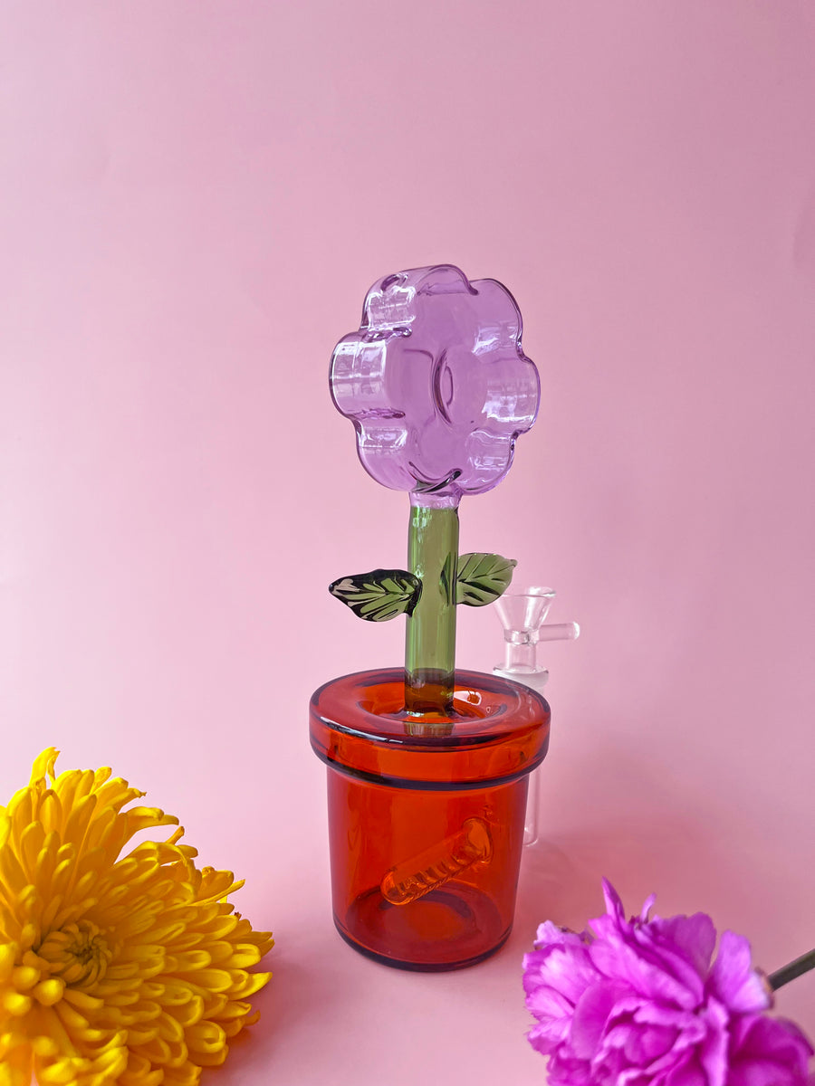 House Plant Bong- Lavender