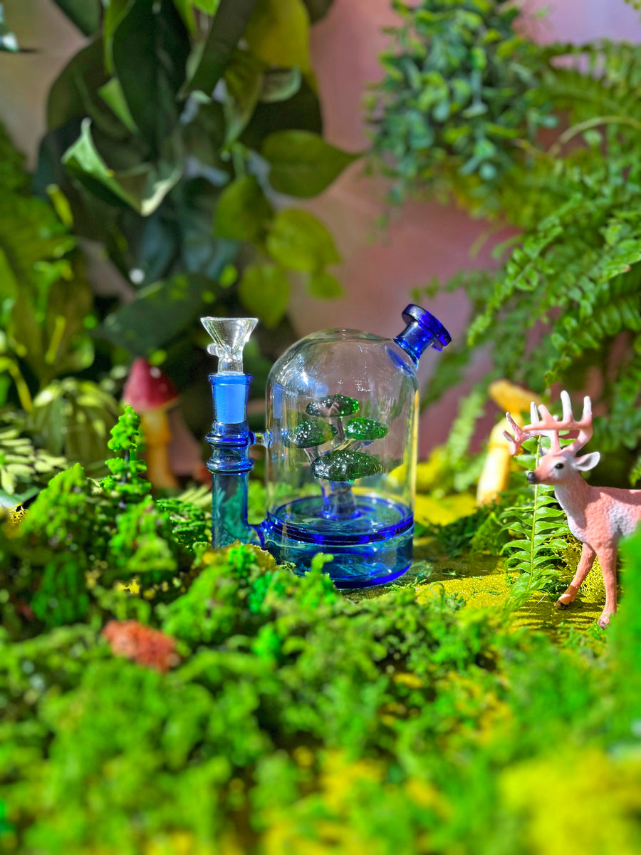 Bonsai Cloche Bong - Blue
