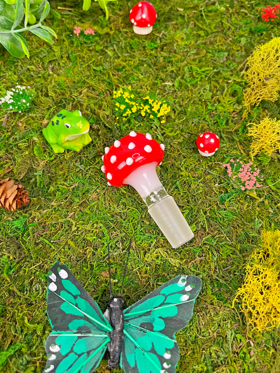 Mushroom Slide