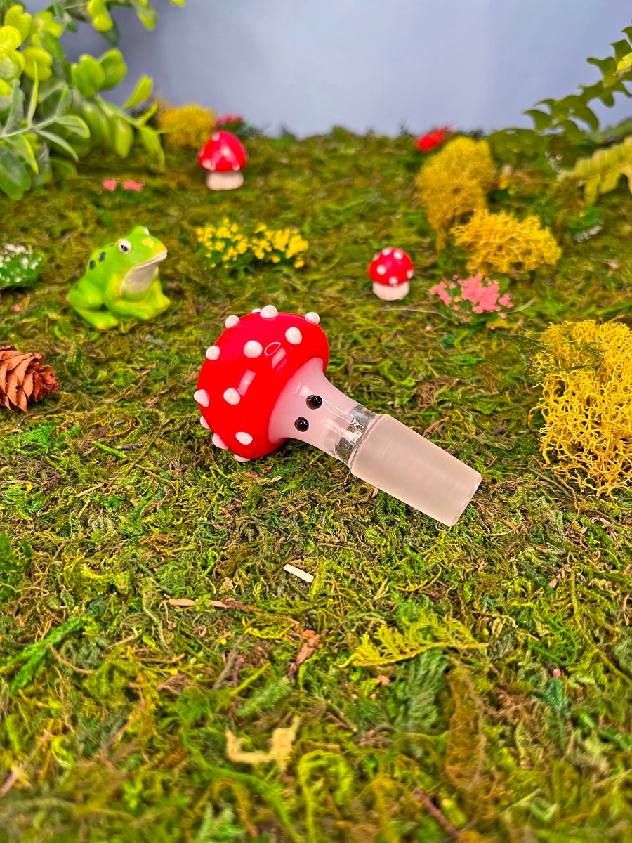 Mushroom Slide