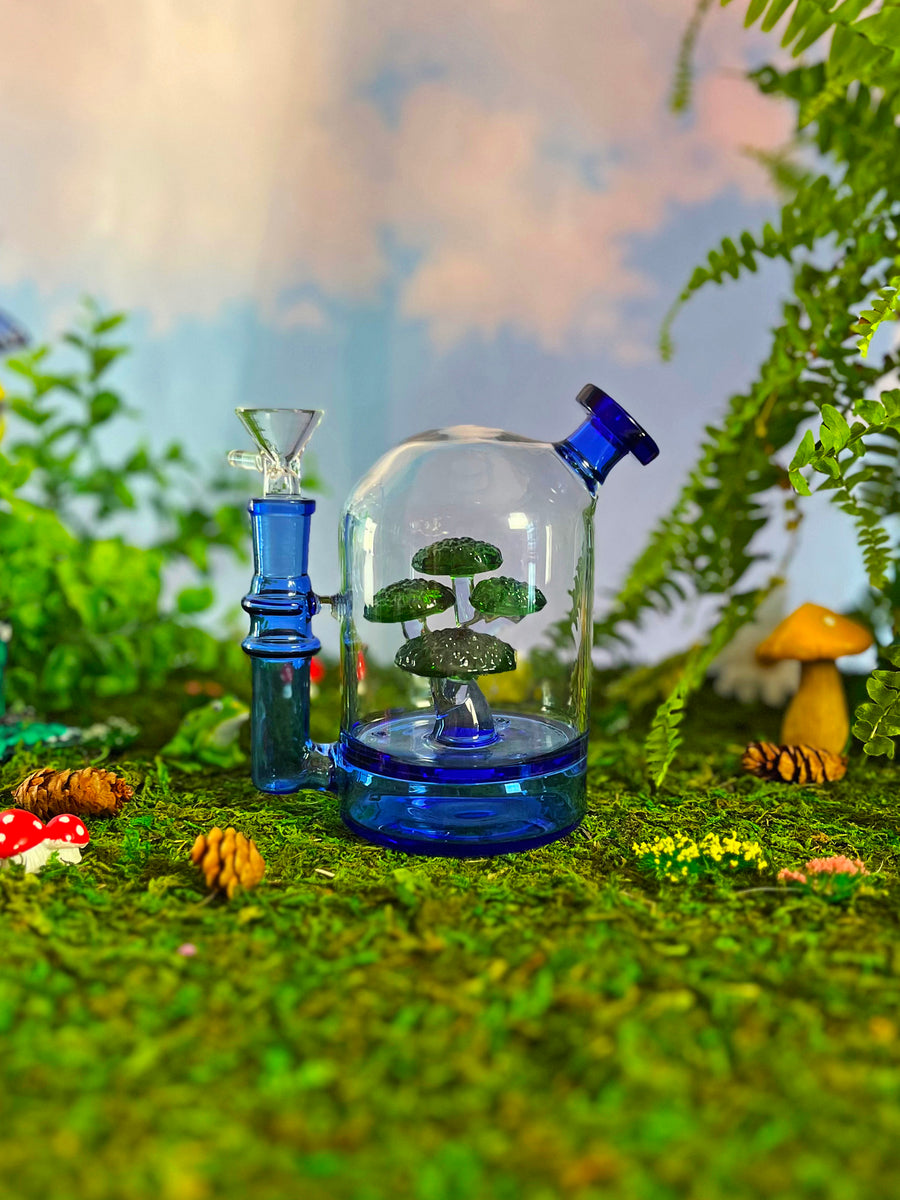 Bonsai Cloche Bong - Blue