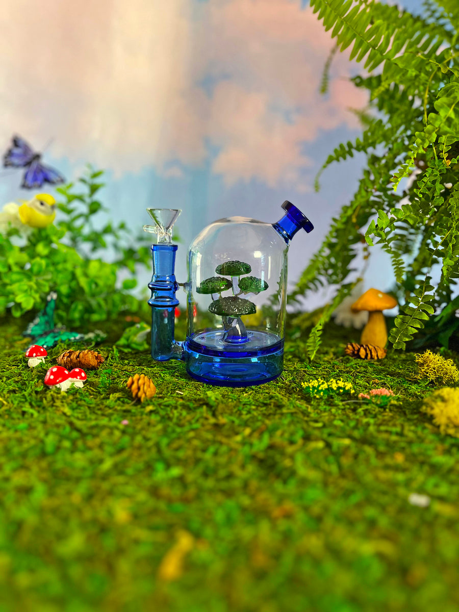 Bonsai Cloche Bong - Blue