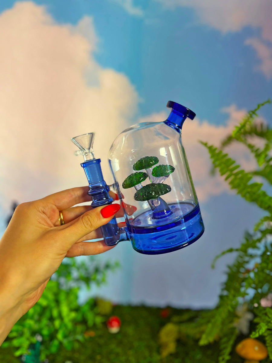 Bonsai Cloche Bong - Blue