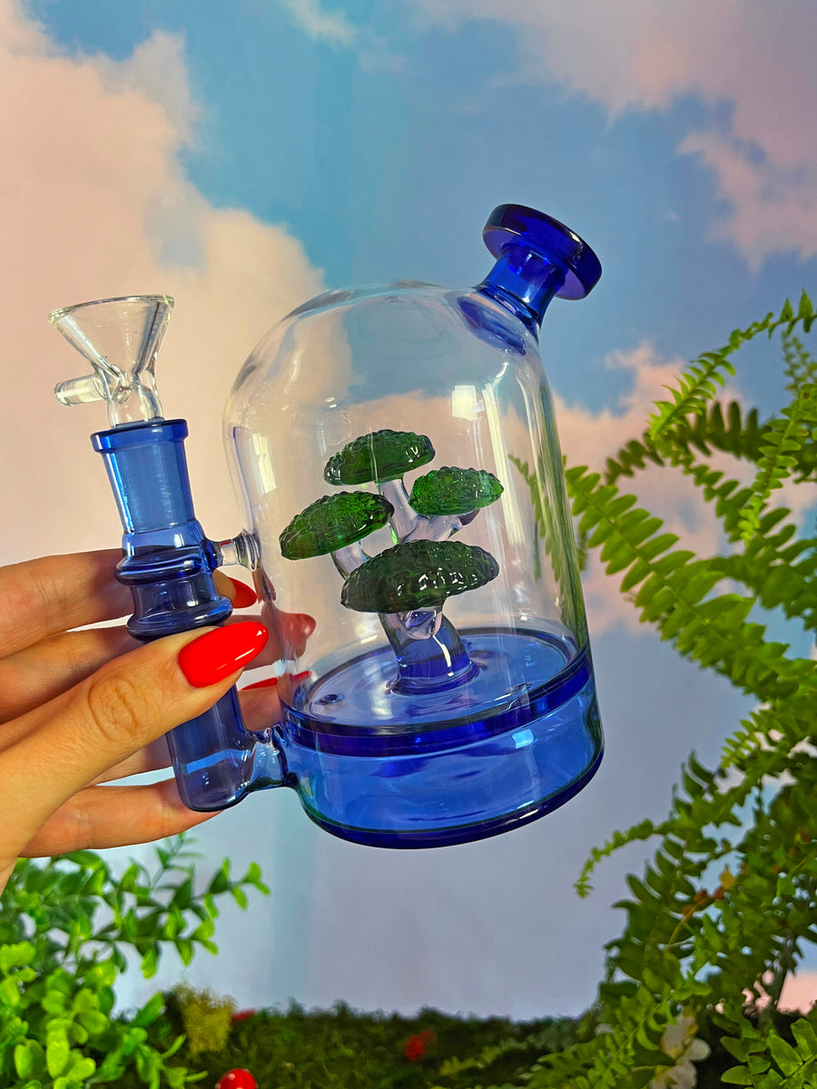Bonsai Cloche Bong - Blue