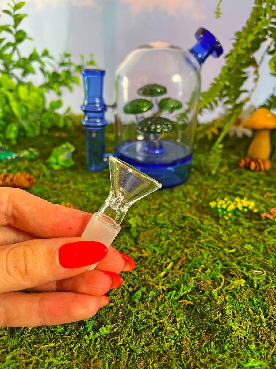 Bonsai Cloche Bong - Blue