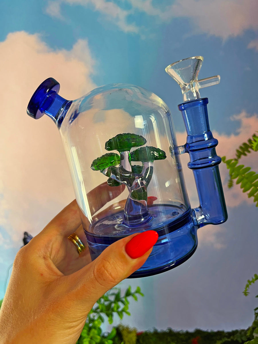Bonsai Cloche Bong - Blue