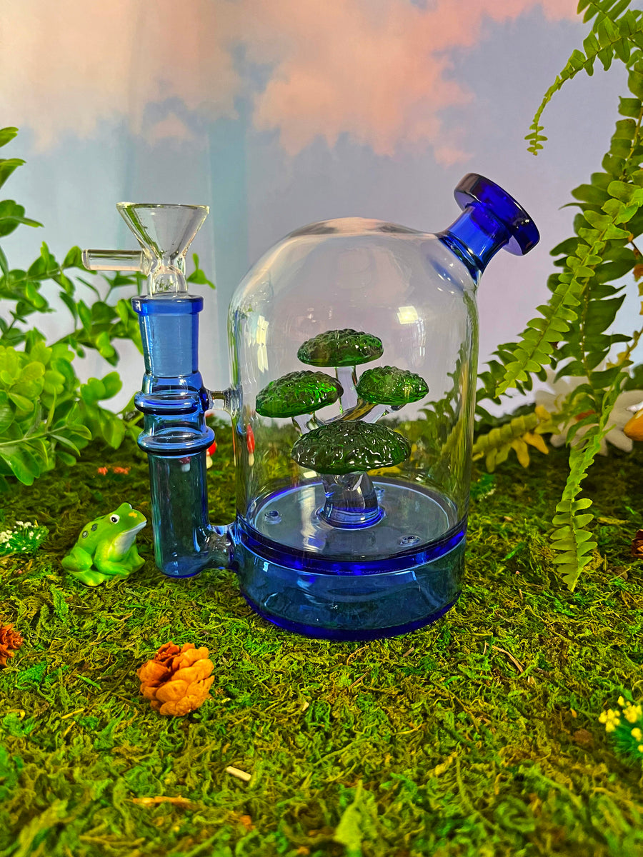Bonsai Cloche Bong - Blue