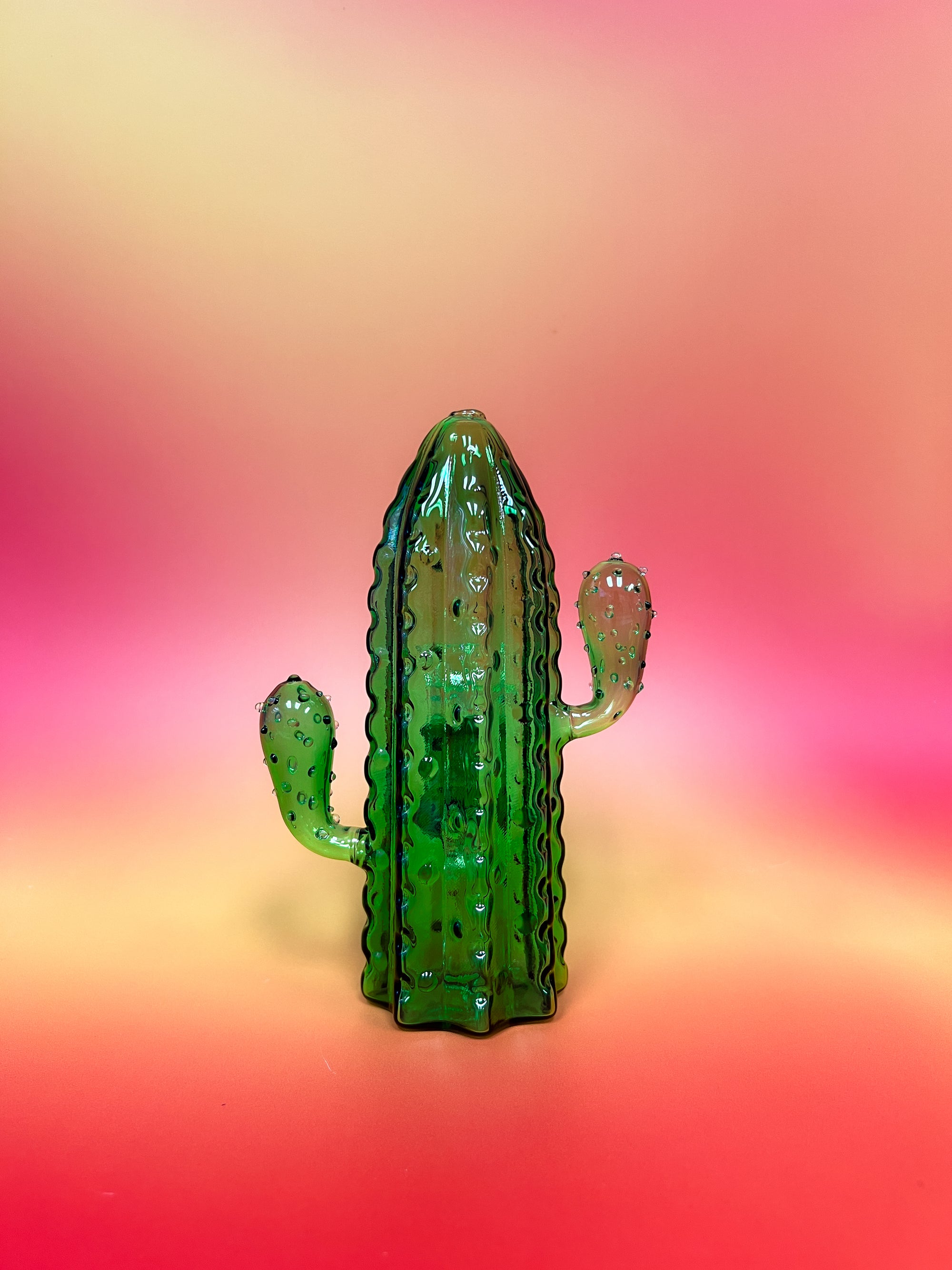 Saguaro Bong