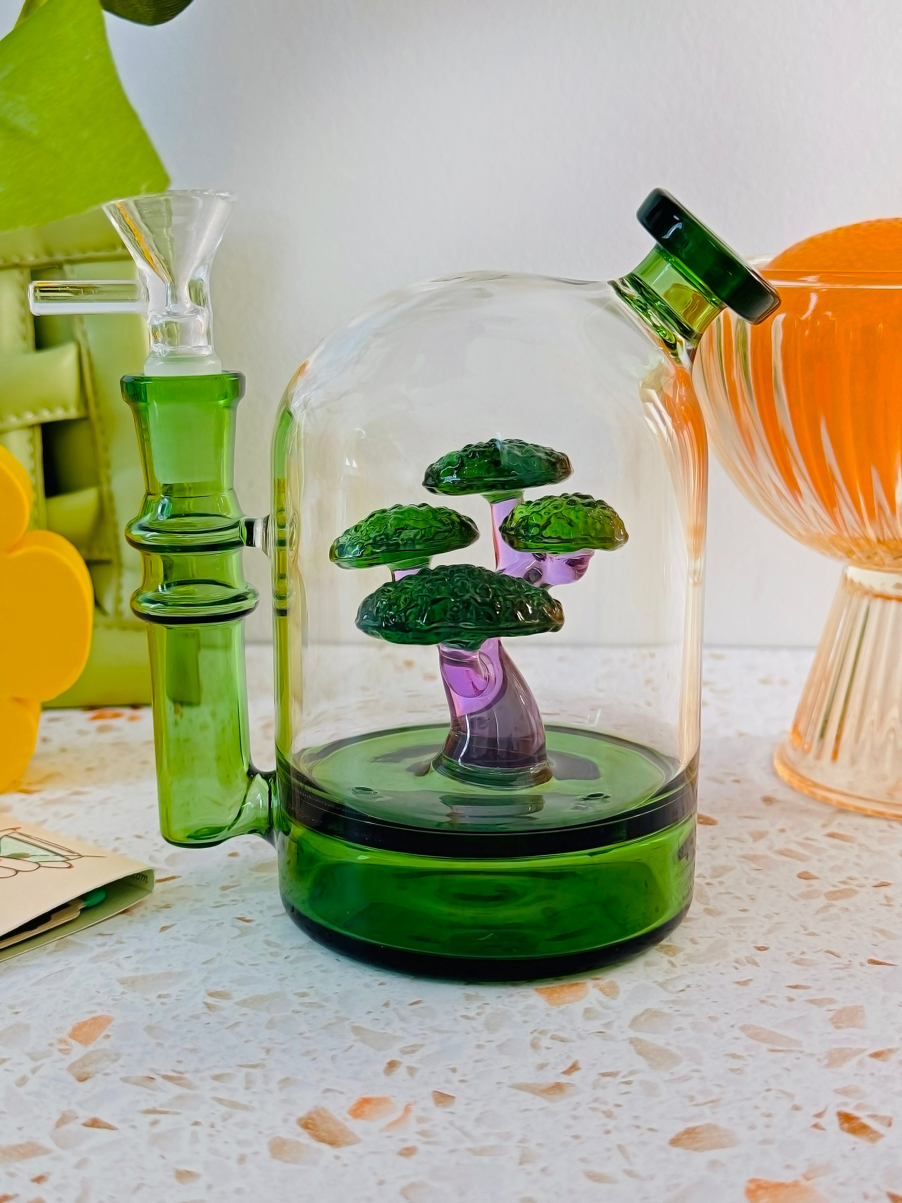 bonsai tree in glass jar Bonsai Cloche Bong- Green – Shop Burning Love