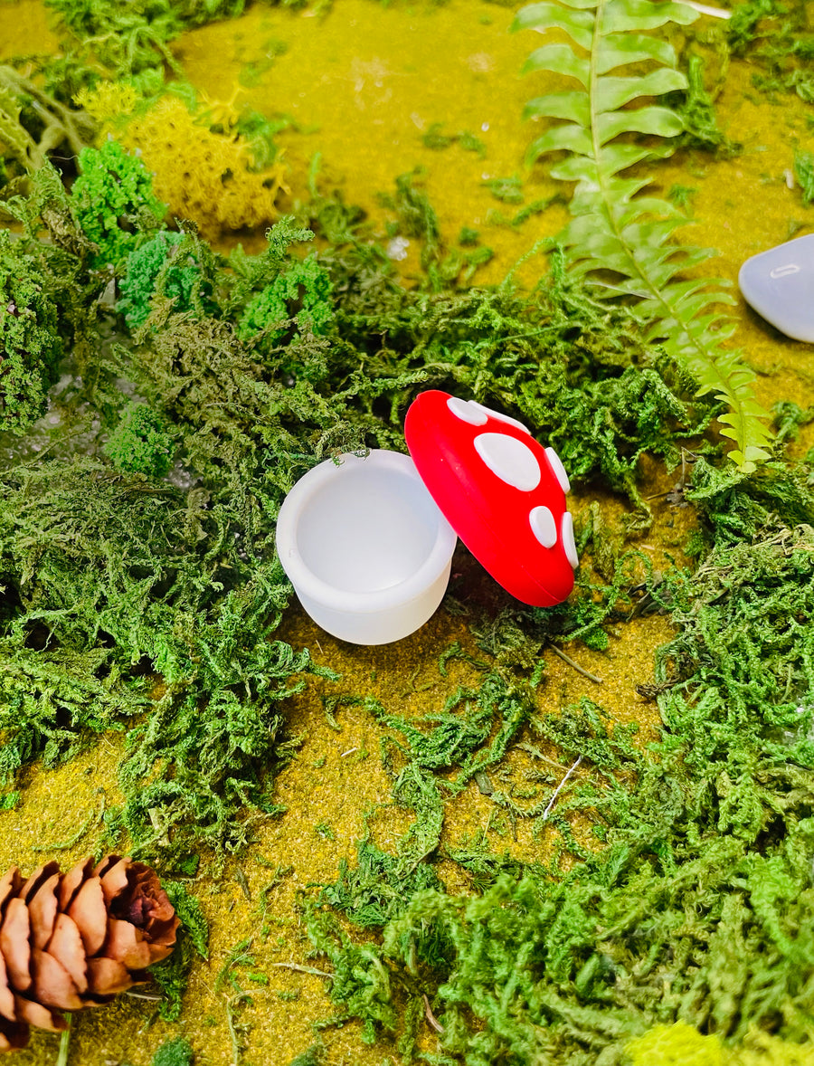 Silicone Mushroom Container
