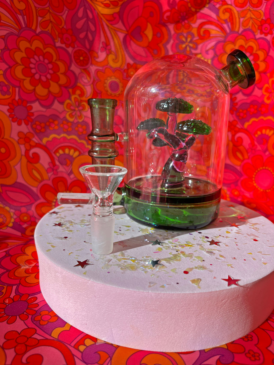 Bonsai Cloche Bong- Green