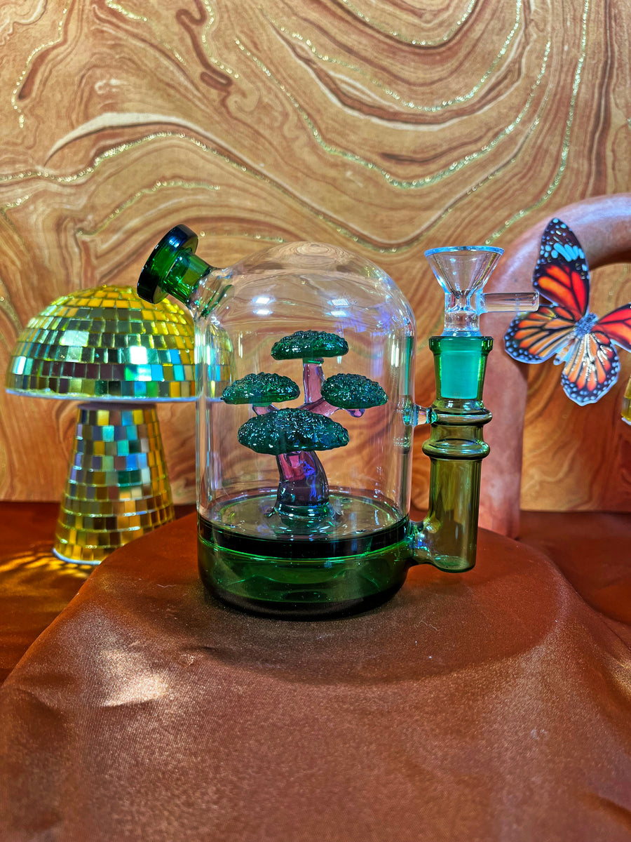 Bonsai Cloche Bong- Green