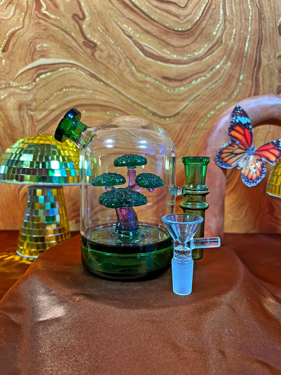 Bonsai Cloche Bong- Green