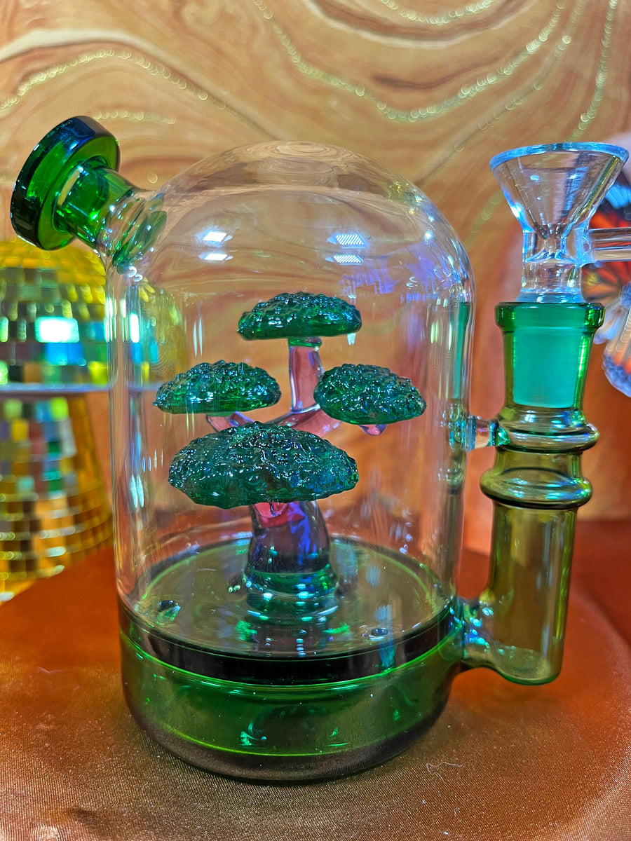 Bonsai Cloche Bong- Green