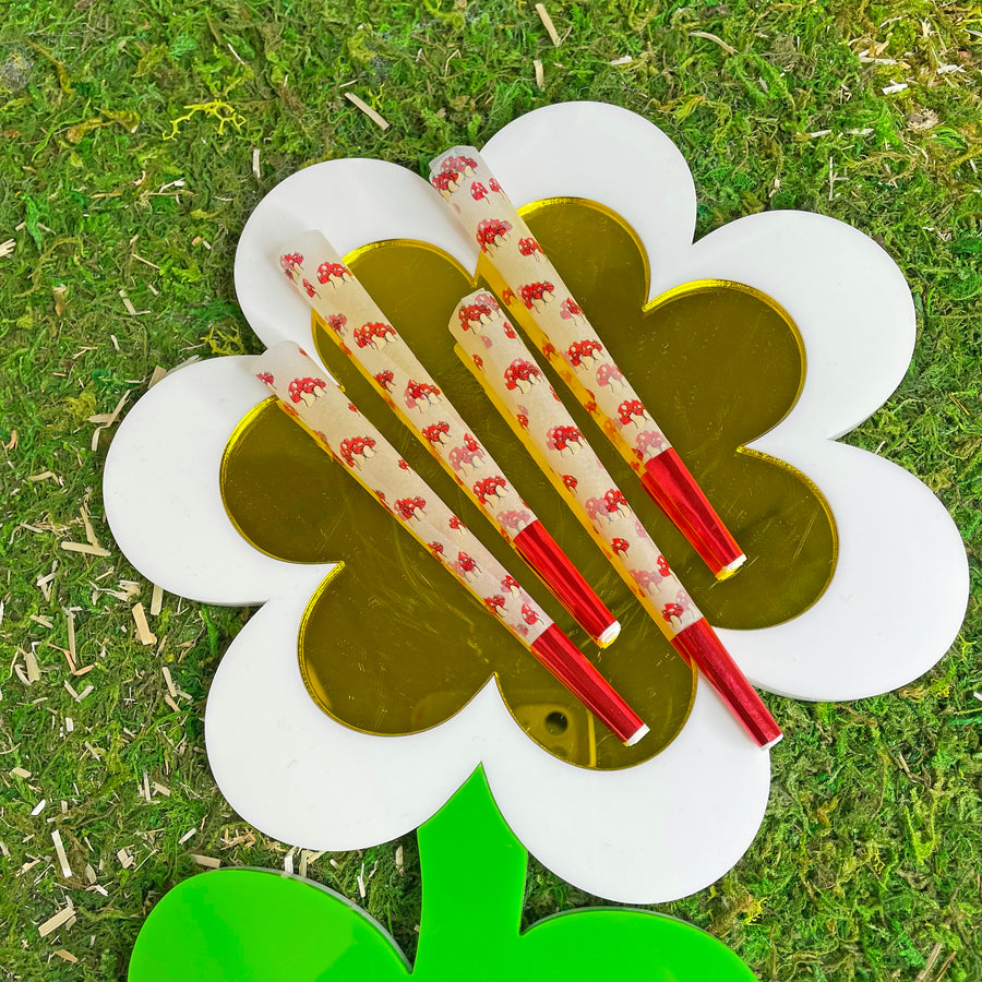 Mushroom Cones