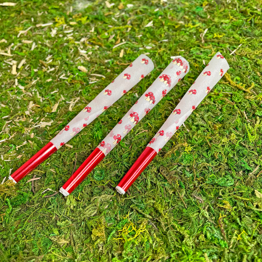 Mushroom Cones